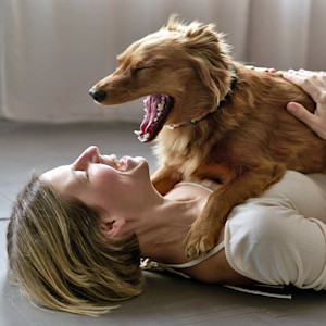 Dog yawning at home with owner.