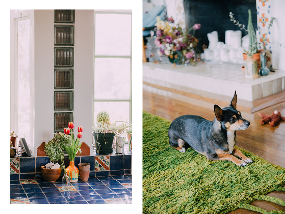 A photo of bright red flowers on a blue-tiled countertop, next to a photo of Amrit’s black-and-white dog, Soy, posing on a green rug