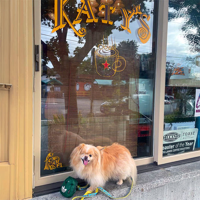 a dog outside of Katy's coffee