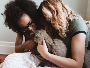 Two women, one with dark curly hair and deep skin and one with pink-blonde hair and lighter skin petting their grey cat