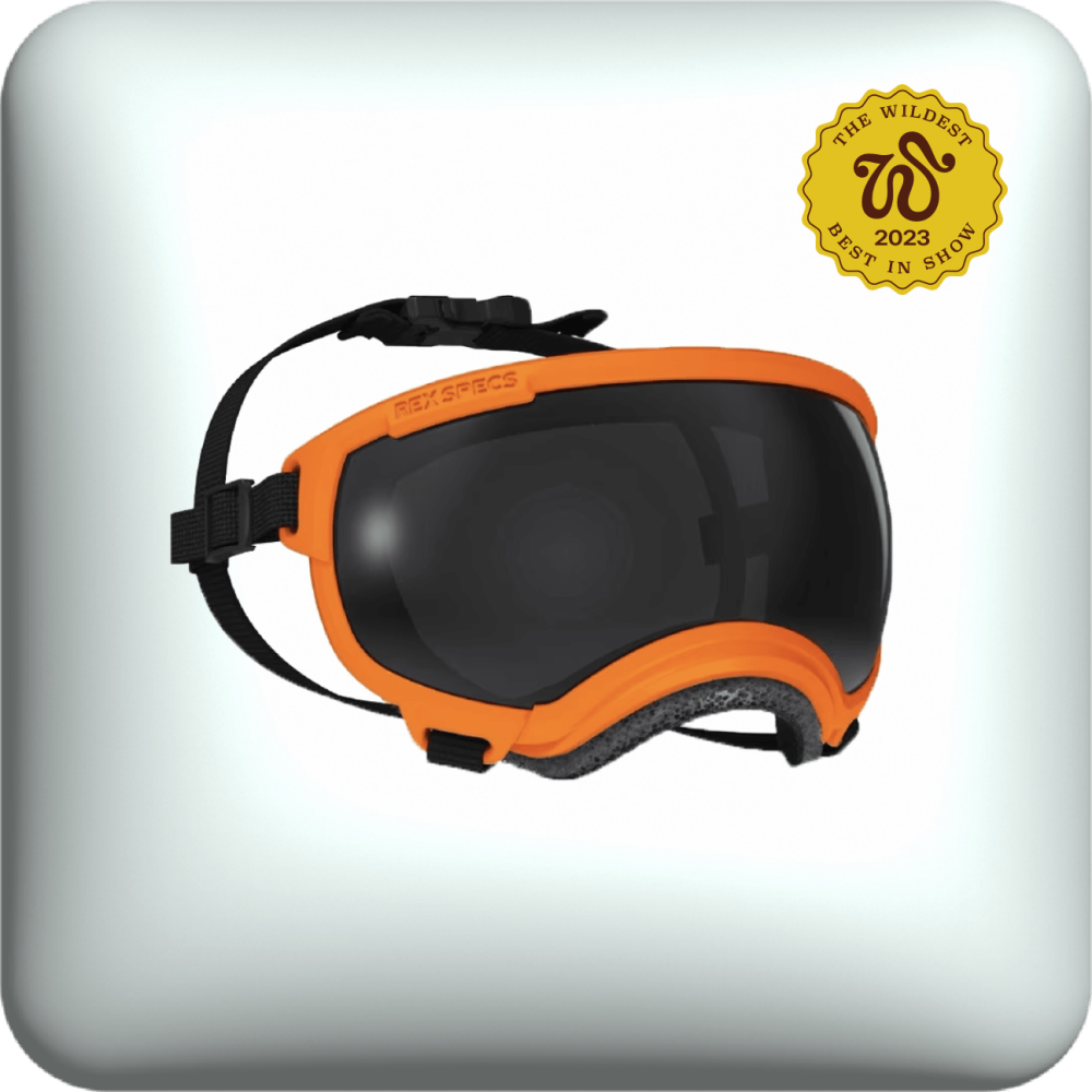 RexSpecs goggles in orange