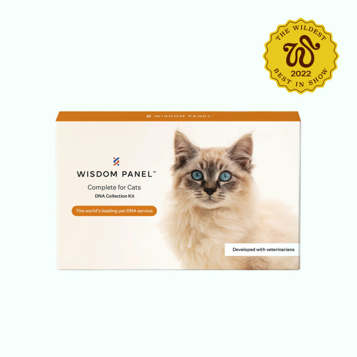 wisdom panel for cats