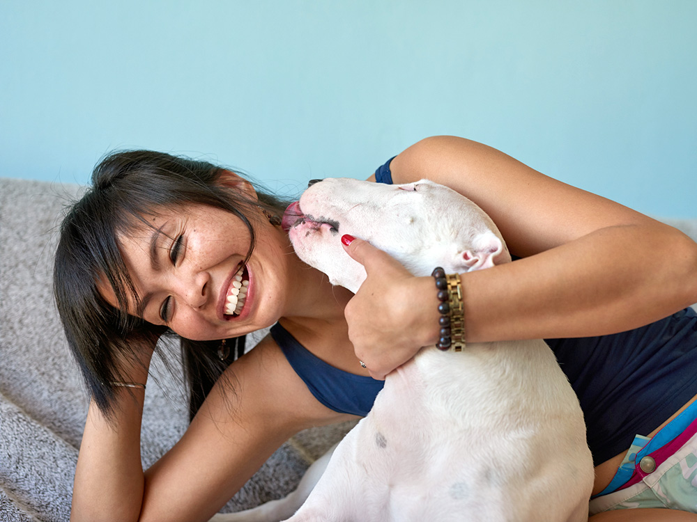 White dog licking woman's ear on the couch.
