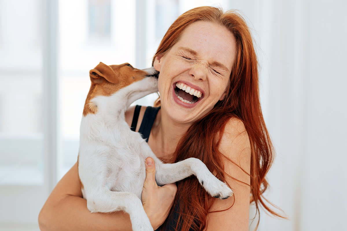 Dog nibbling at person's face