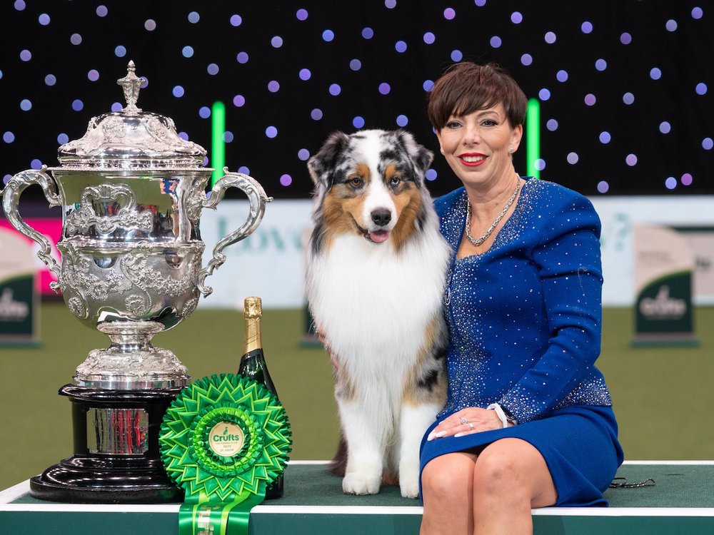 a woman in a blue dress hugs her australian shepherd