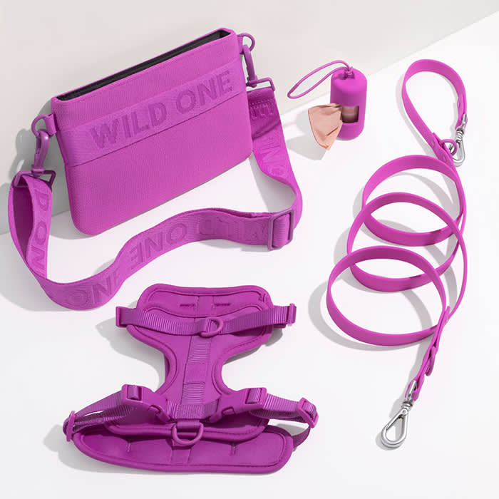 orchid purple colorway for harness, treat pouch, poop bag holder, and leash