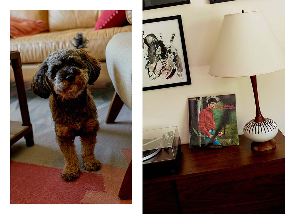 Sona Movsesian's dog