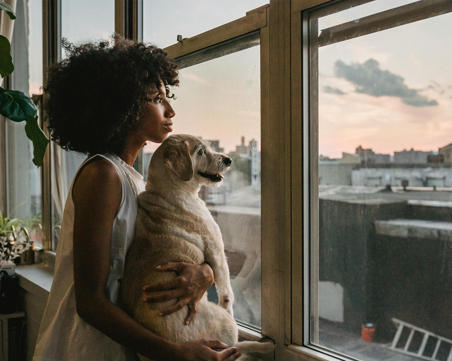 woman and dog looking out of a window