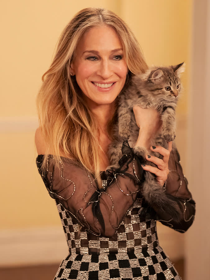 Sarah Jessica Parker adopts cat from And Just Like That.