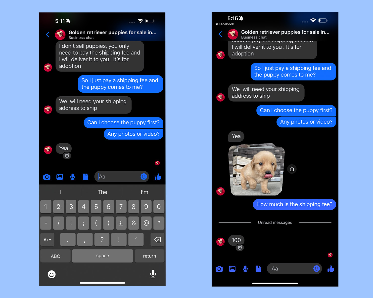 screenshot of imessages with puppy scammer