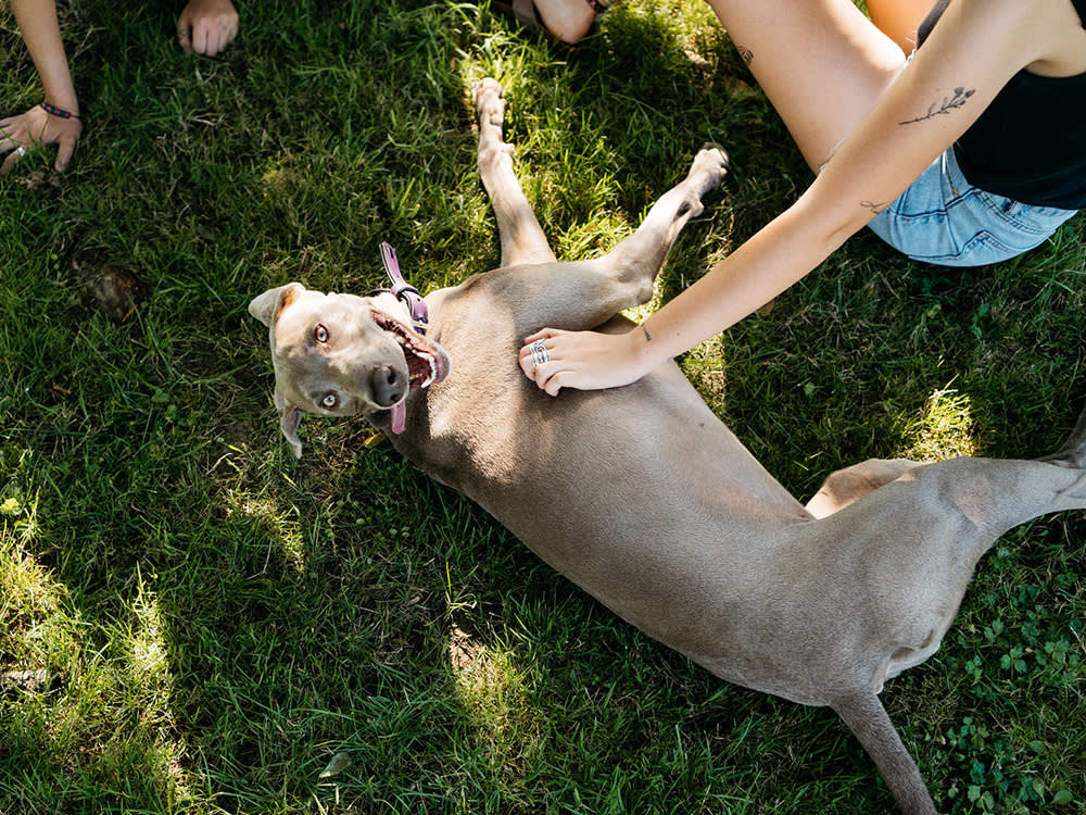 Girls Playing With Their Dog At The Park