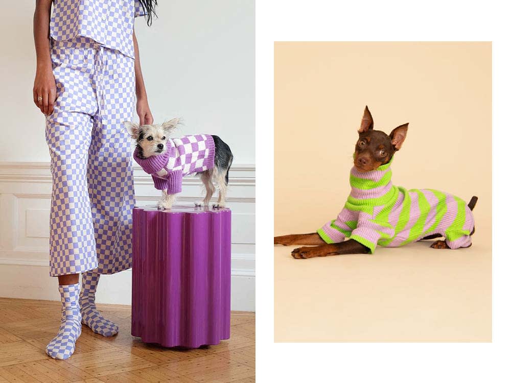 a woman in a checkered purple outfit beside a small dog in a purple checkered sweater; a small dog in a neon-green and pink striped turtleneck 