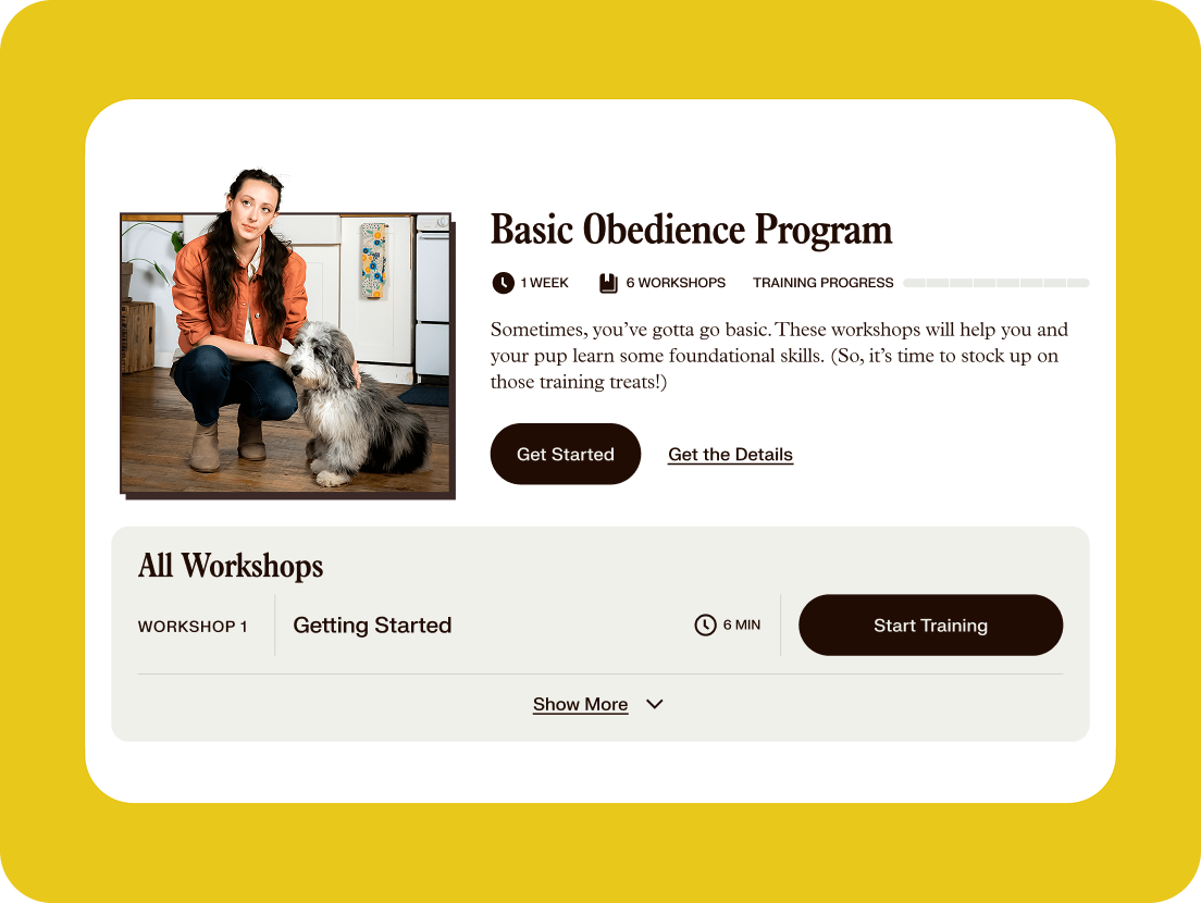 Image for training on our tools landing page