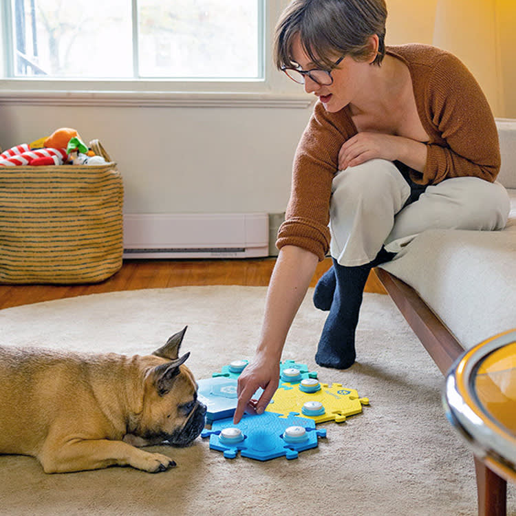 Woman teaching her dog how to use "speech buttons" at home.