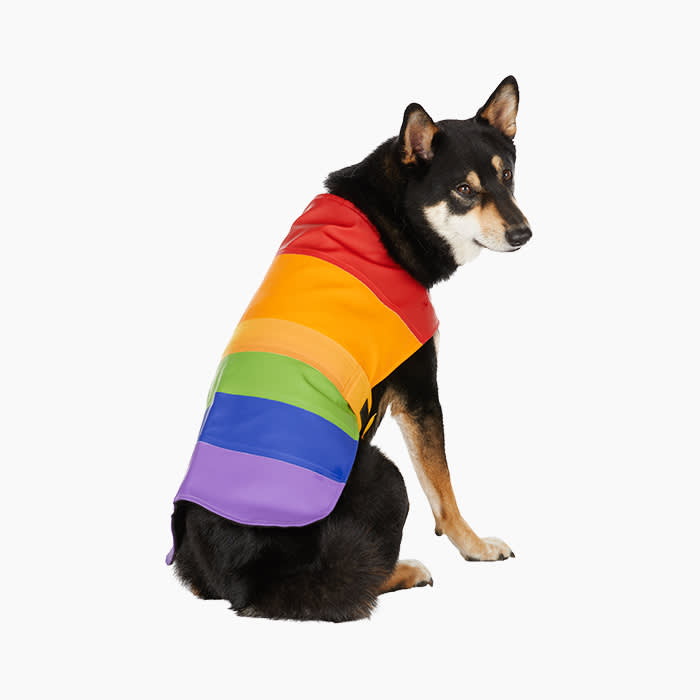 rainbow dog raincoat