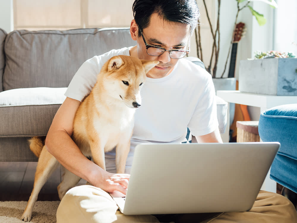 A dark-haired man using a laptop to train his Shiba Inu online