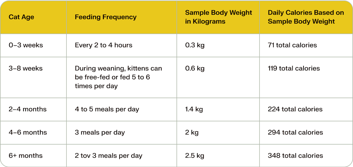 cat feeding chart