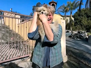 Pacific Palisades resident Casey Colvin has been reunited with his dog Oreo after being separated during the Palisades Fire.