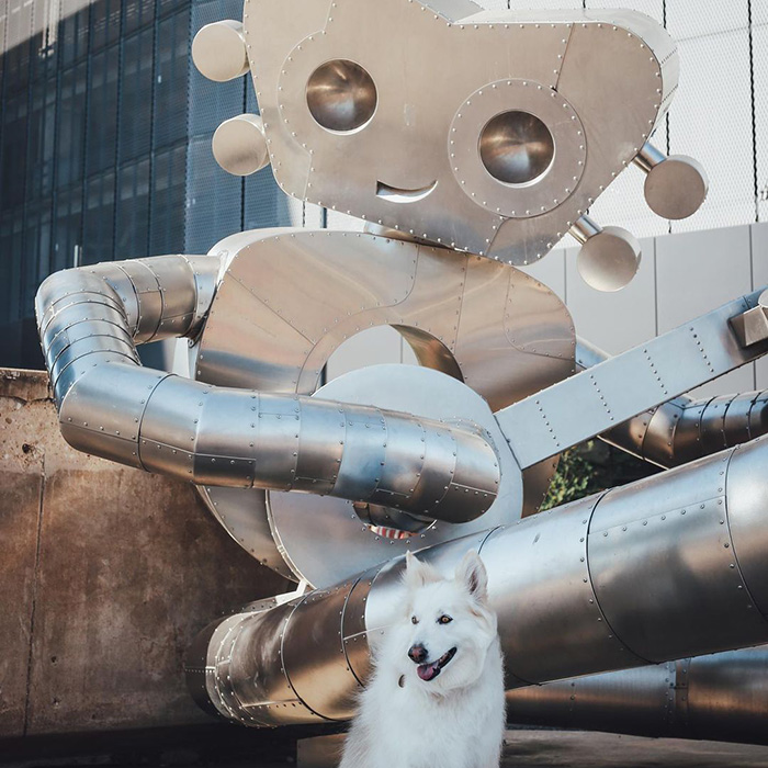 a large white dog outside Deep Ellum