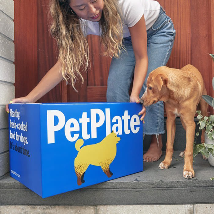 a small brown dog looks at a PetPlate delivery box 