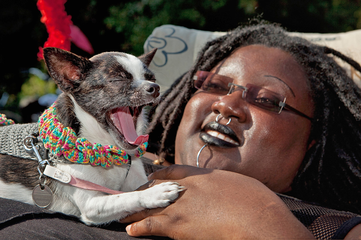 Dog yawning while a person watches