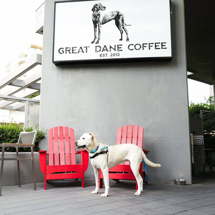 dogs at Great Dane Coffee