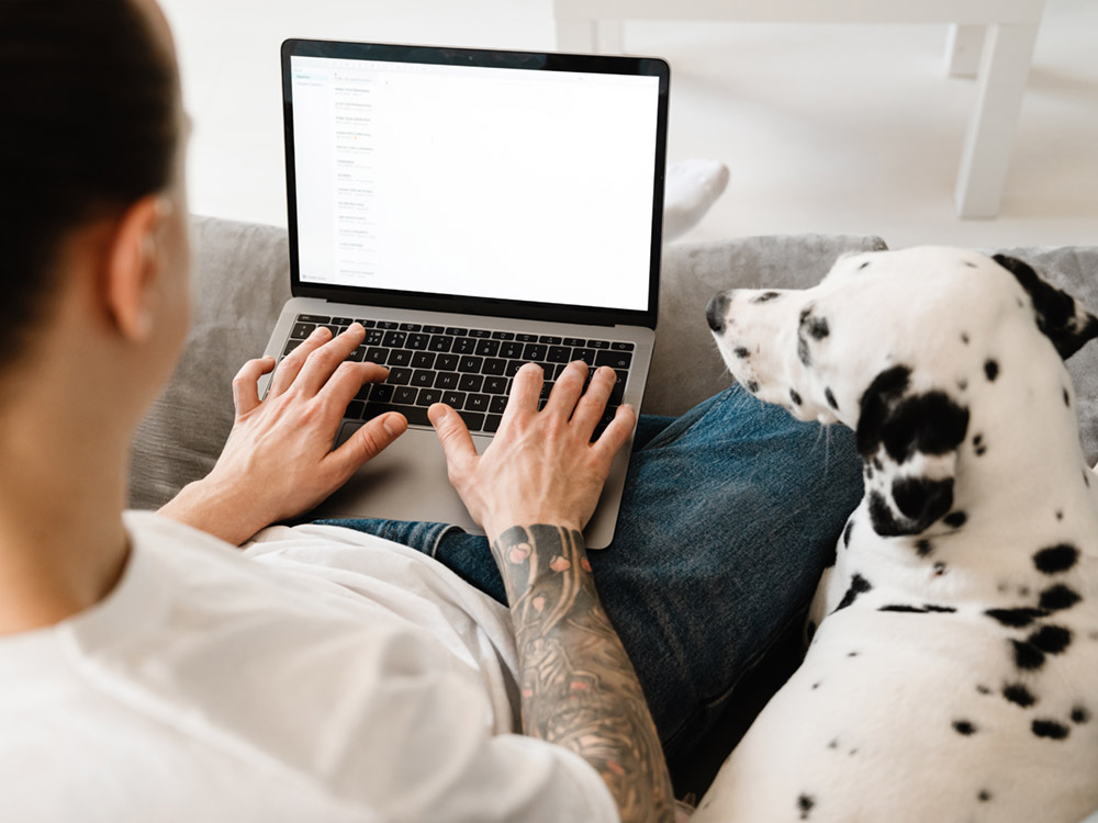 Email Etiquette When Communicating With Your Vet · The Wildest