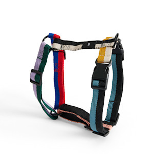 HAY Design dog harness in multi-colour