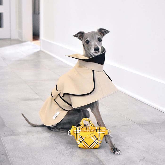 Greyhound Overcoat