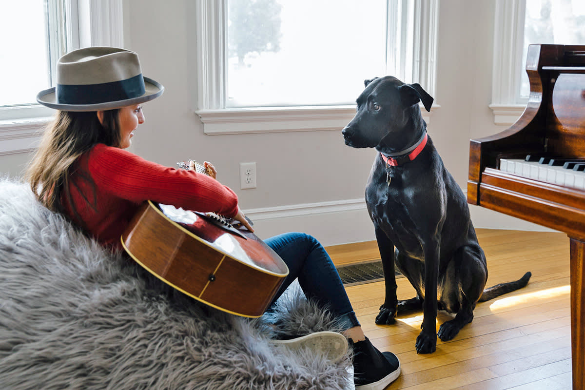 person playing guitar to a black dog