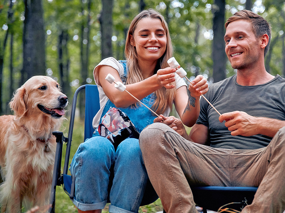 Dog staring at marshmallows outside by the campfire.