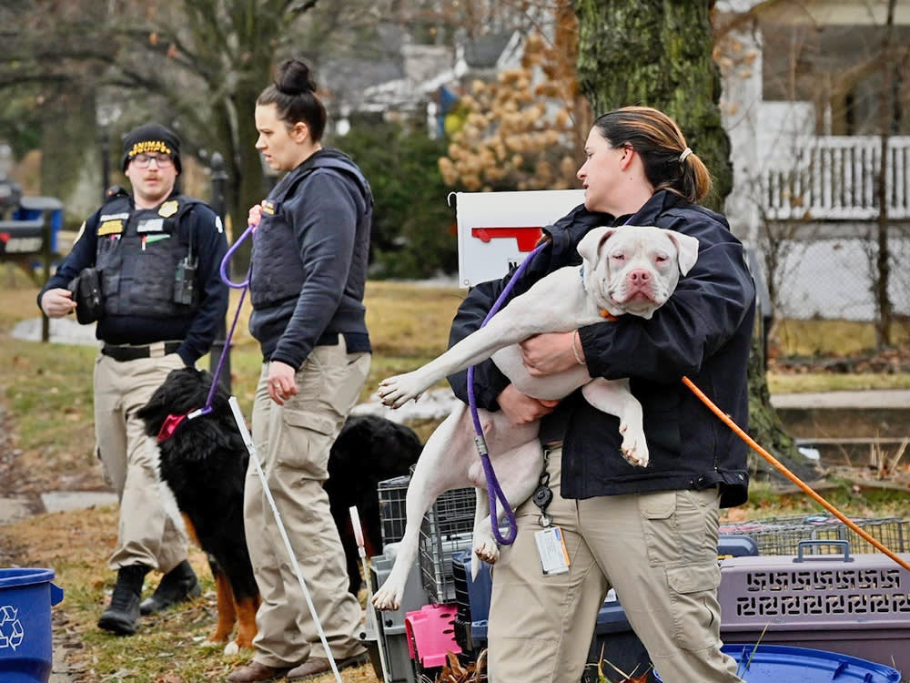 Animal control officers seize 13 dogs, plus birds and reptiles, from woman’s Halethorpe home.