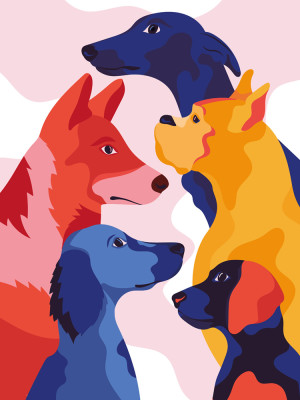 illustration of multi-colored dogs 