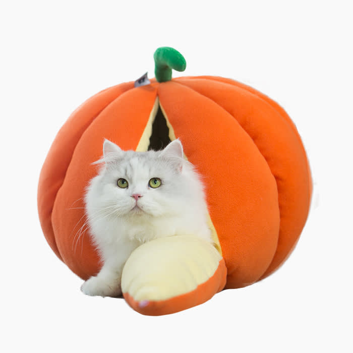 pumpkin shaped cat bed