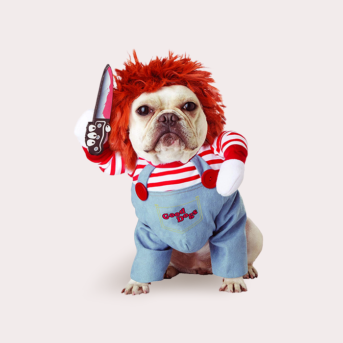 Chucky costume for dogs