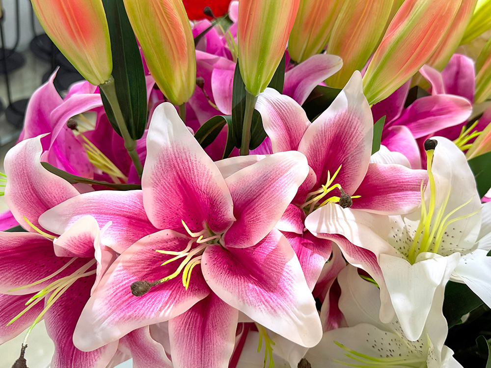 Lillies