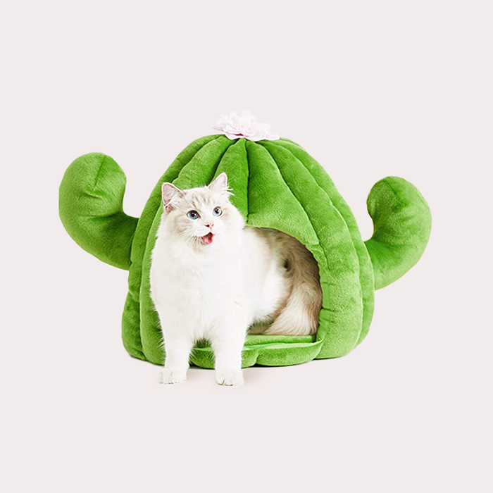 cactus shaped cat bed