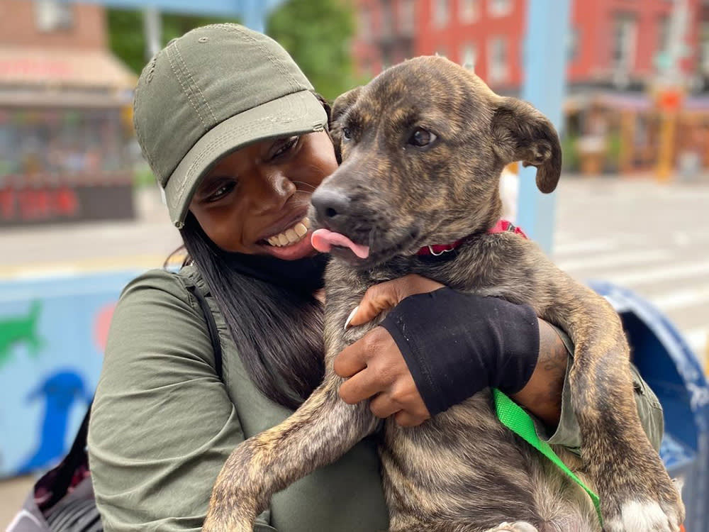 a woman holds a large dog 