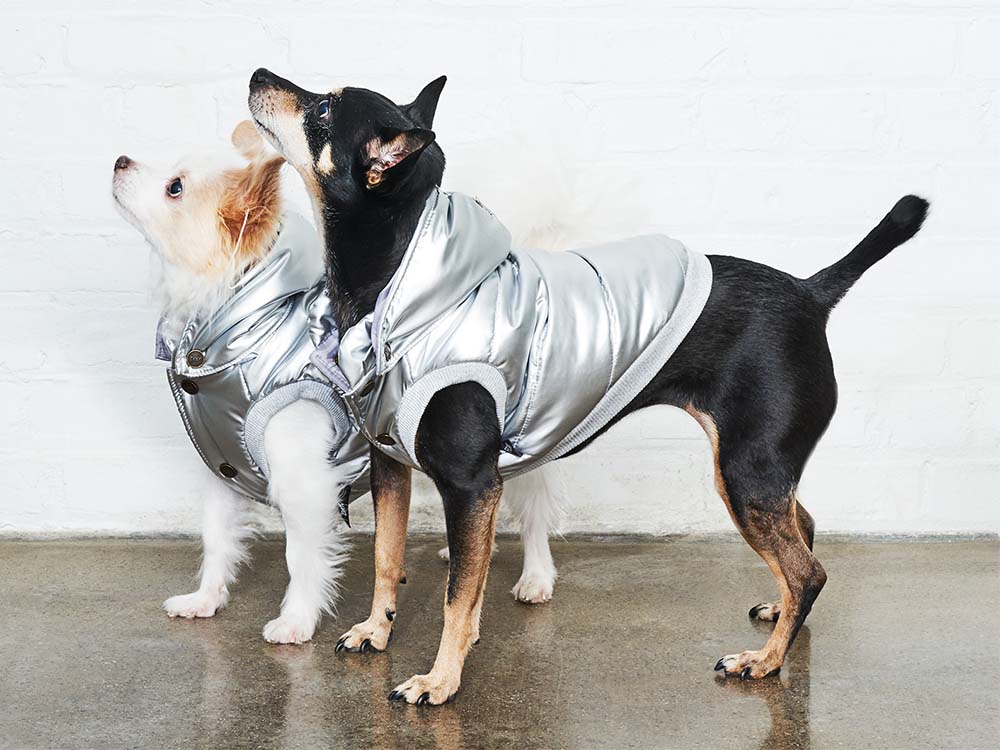 DKNY x Found My Animal Launch a Capsule Collection for Dogs · The