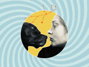 Collage of Fiona Apple with her dog in a yellow circle on a blue-green background