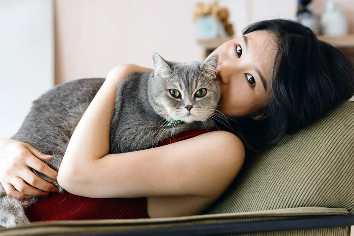 Cat on top of person