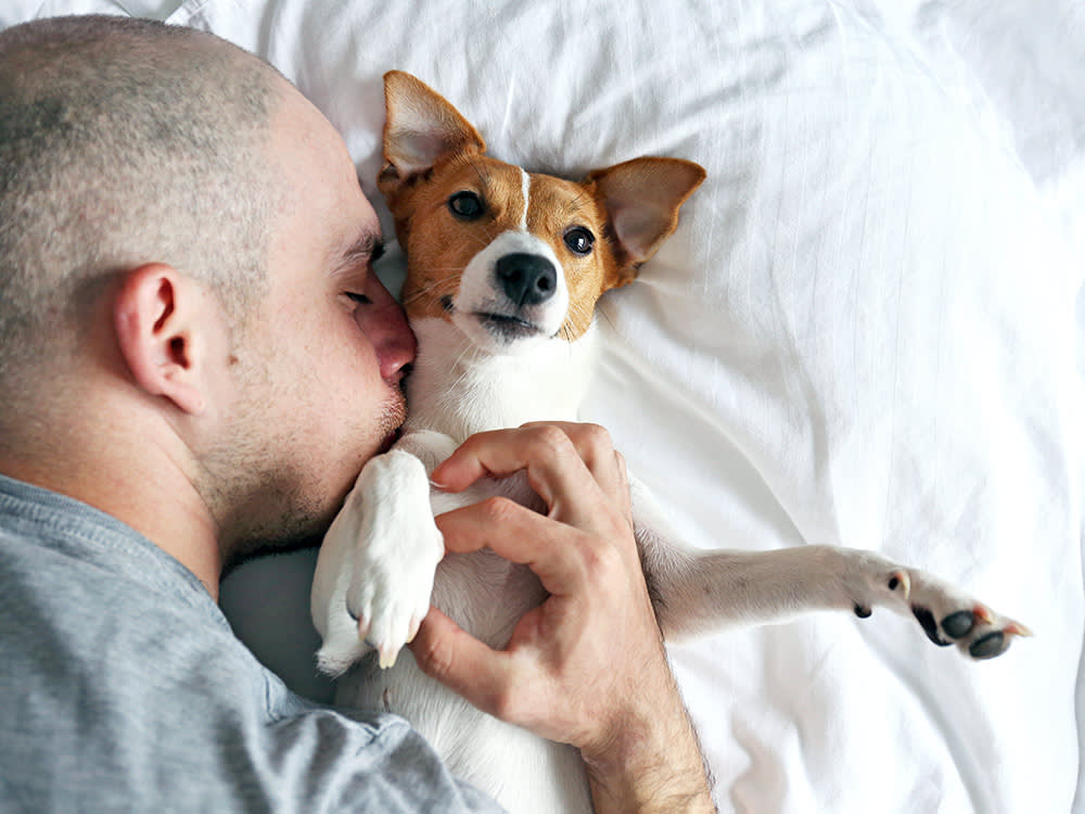 Man cuddling dog in bed.
