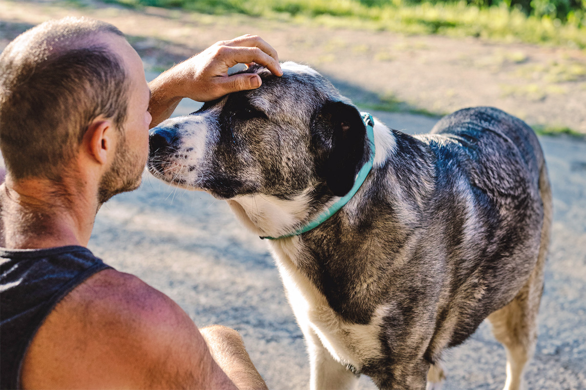 white man in a sleeveless shirt patting his large black-and-white dog on the head 