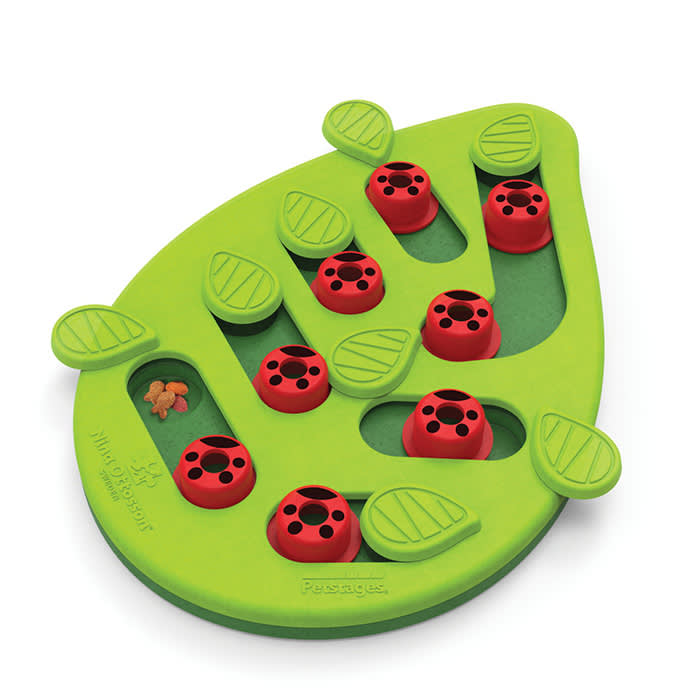 green interactive cat toy with lady bug colored treat concealers