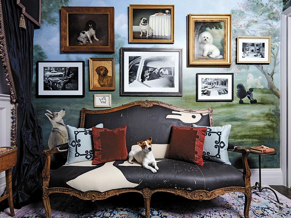 interior designer sheila bridge's dog inspired room