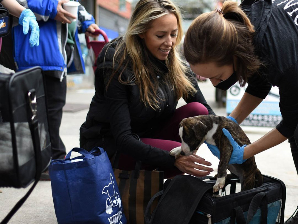 two women pet a small dog 