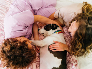 A couple laying on a bed with a dog. 