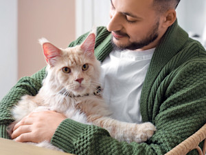 Man snuggling his Maine Coon cat at home.