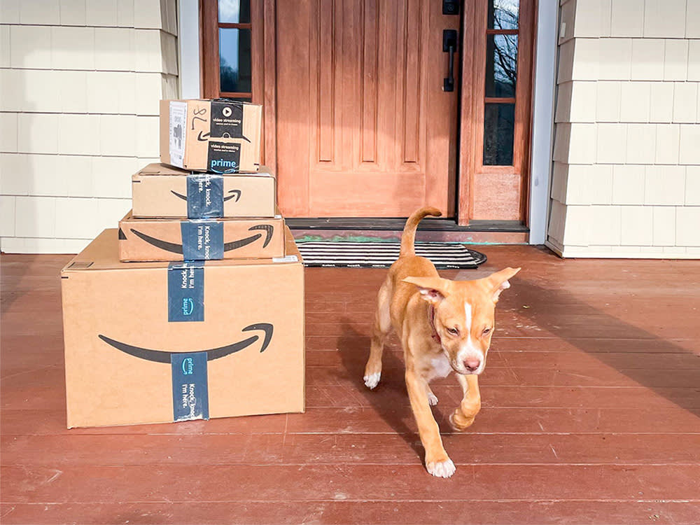 A puppy on a porch standing with a stack of amazon packages. 
