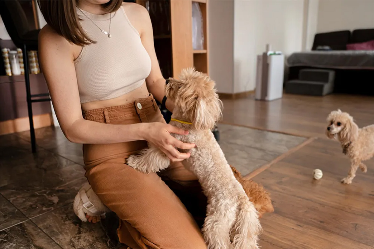 Dog jumping on person 